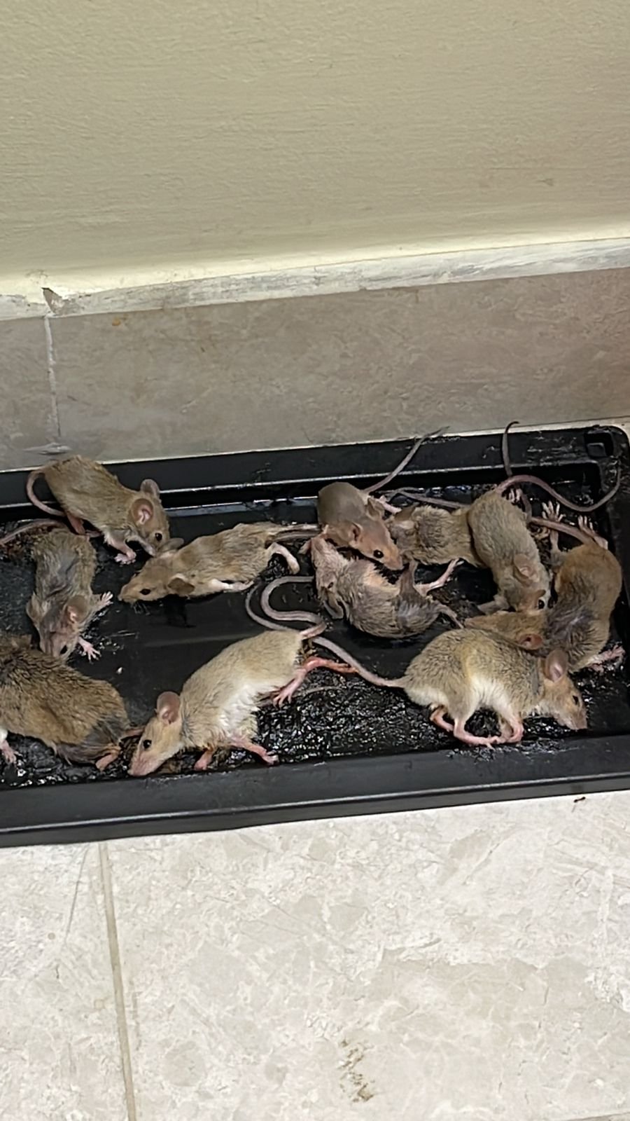 WhatsApp Image 2023-06-18 at 14.15.56