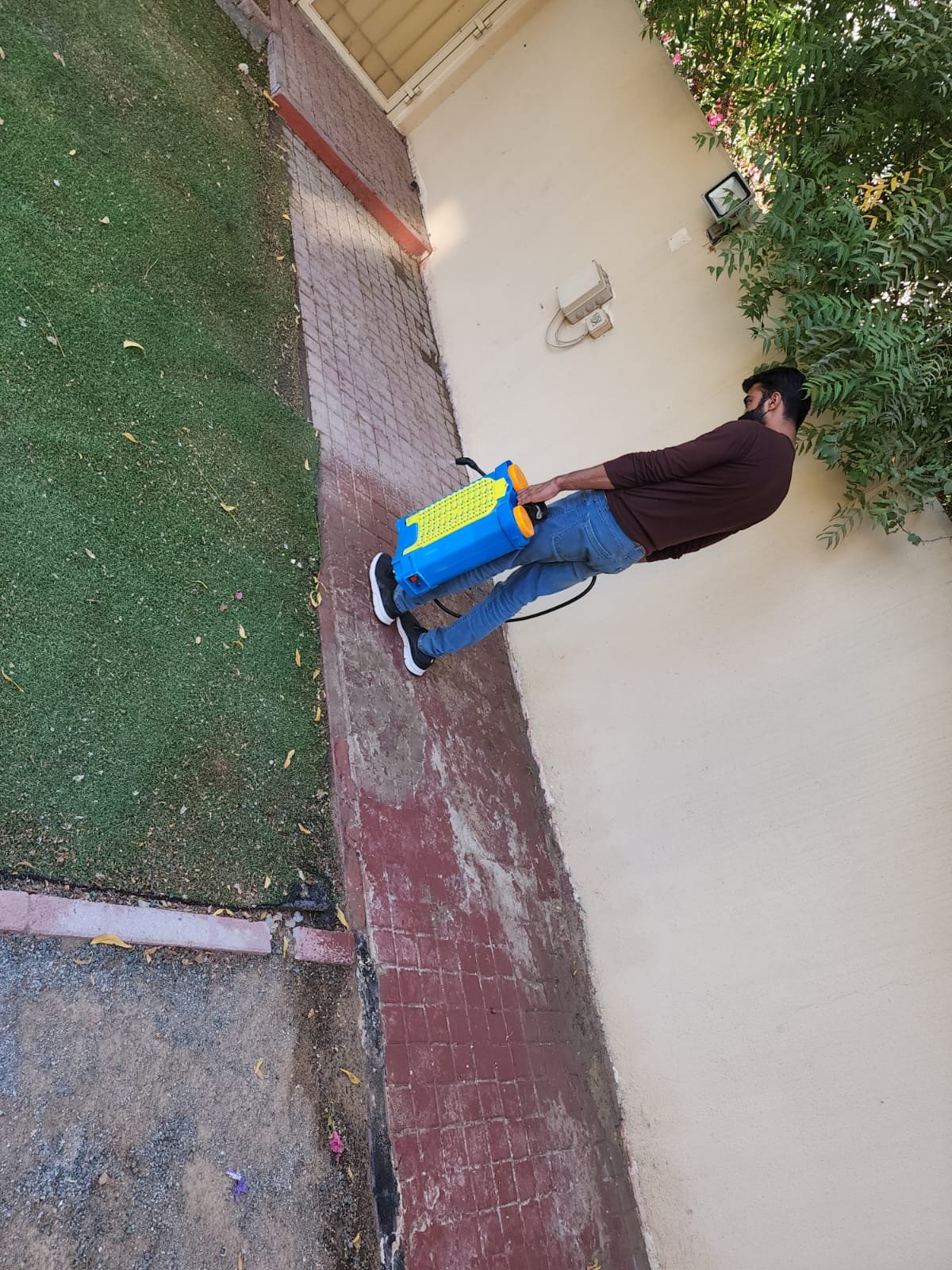WhatsApp Image 2023-06-18 at 14.24.27